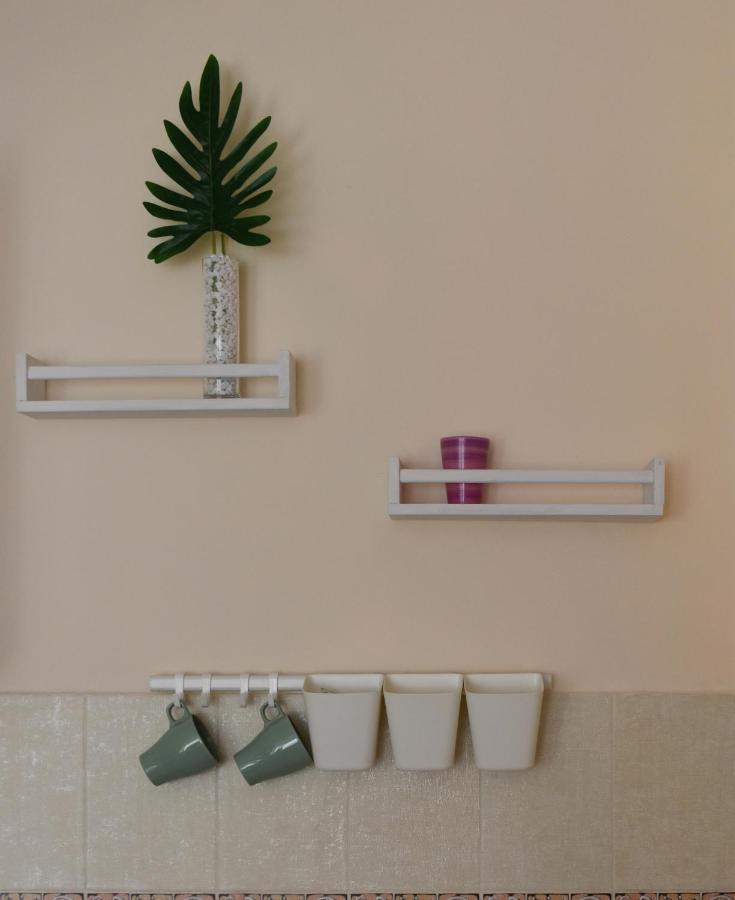 Apartment Orchid 021 ノヴィ・サド エクステリア 写真