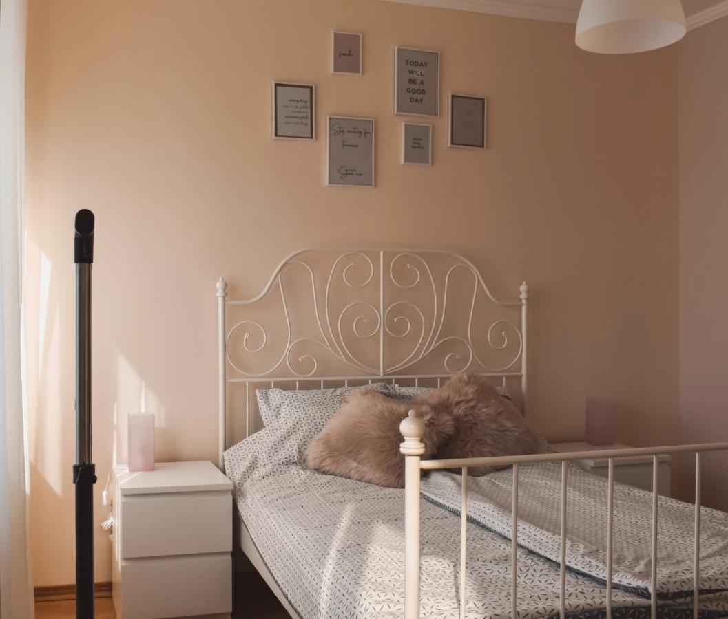 Apartment Orchid 021 ノヴィ・サド エクステリア 写真
