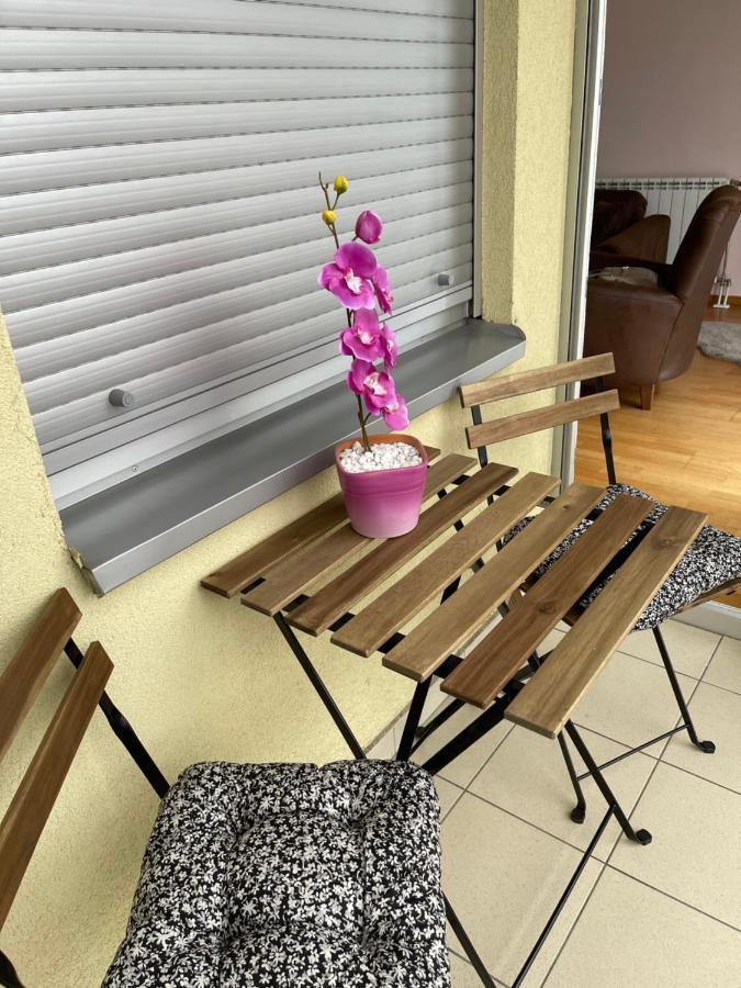 Apartment Orchid 021 ノヴィ・サド エクステリア 写真