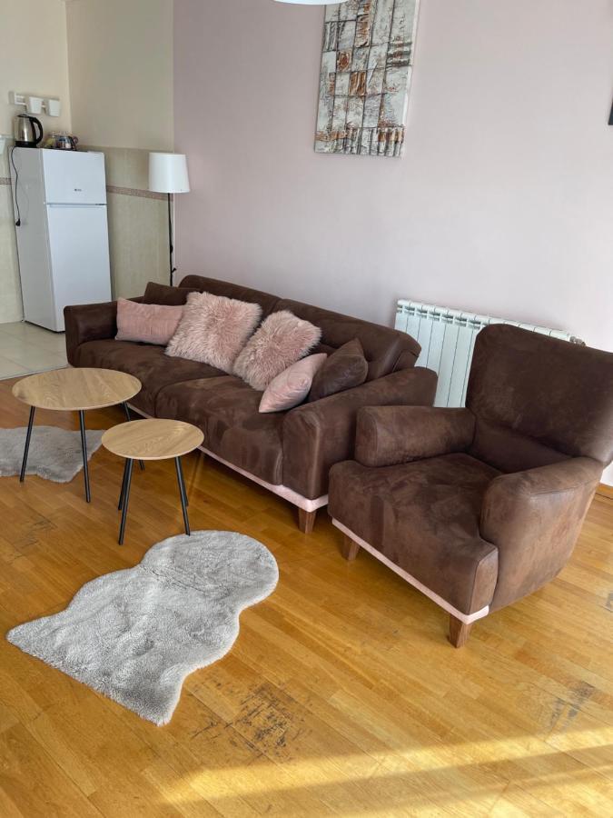 Apartment Orchid 021 ノヴィ・サド エクステリア 写真
